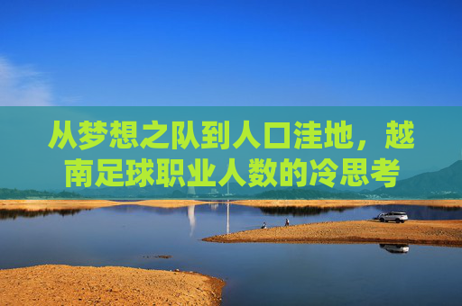 从梦想之队到人口洼地，越南足球职业人数的冷思考
