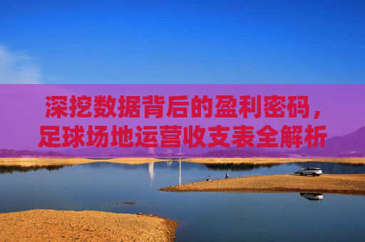 深挖数据背后的盈利密码，足球场地运营收支表全解析