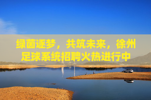 绿茵逐梦，共筑未来，徐州足球系统招聘火热进行中