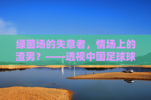 绿茵场的失意者，情场上的渣男？——透视中国足球球员的私德困境