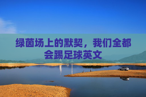 绿茵场上的默契，我们全都会踢足球英文