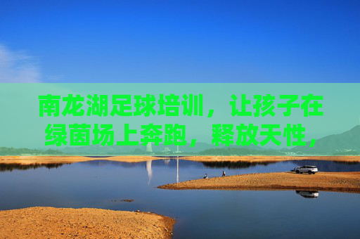 南龙湖足球培训，让孩子在绿茵场上奔跑，释放天性，赢在起跑线