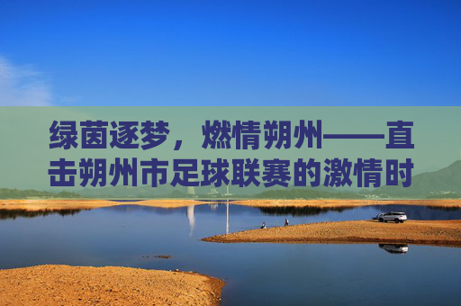 绿茵逐梦，燃情朔州——直击朔州市足球联赛的激情时刻