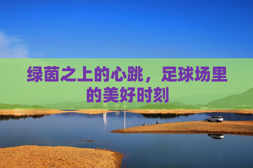 绿茵之上的心跳，足球场里的美好时刻
