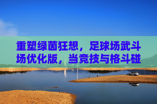 重塑绿茵狂想,足球场武斗场优化版,当竞技与格斗碰撞