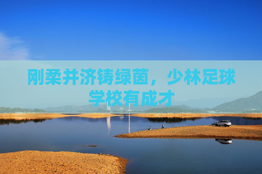 刚柔并济铸绿茵，少林足球学校有成才