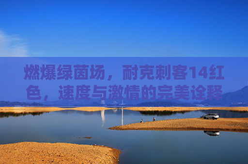 燃爆绿茵场，耐克刺客14红色，速度与激情的完美诠释