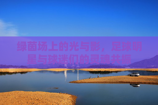 绿茵场上的光与影，足球明星与球迷们的灵魂共振