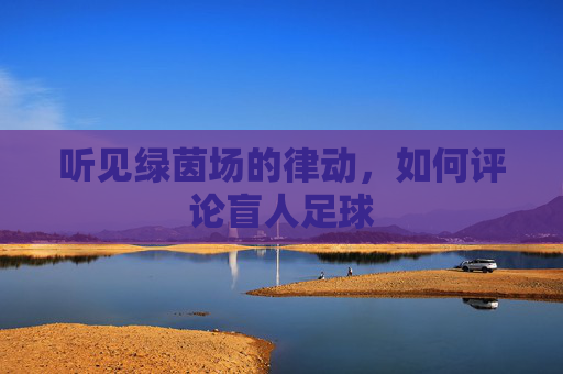 听见绿茵场的律动，如何评论盲人足球