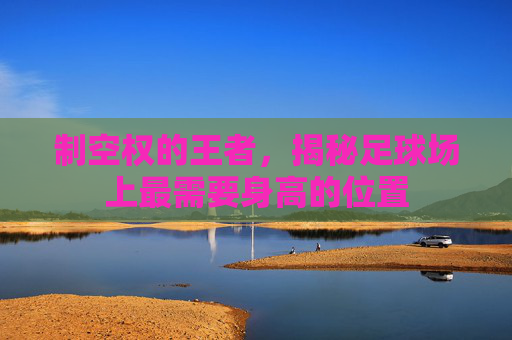 制空权的王者，揭秘足球场上最需要身高的位置