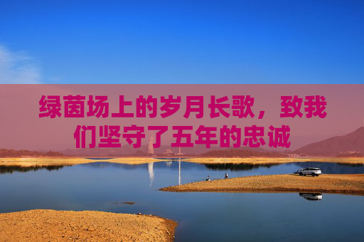 绿茵场上的岁月长歌，致我们坚守了五年的忠诚