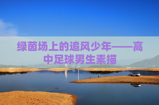 绿茵场上的追风少年——高中足球男生素描