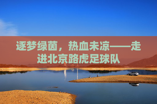 逐梦绿茵，热血未凉——走进北京路虎足球队