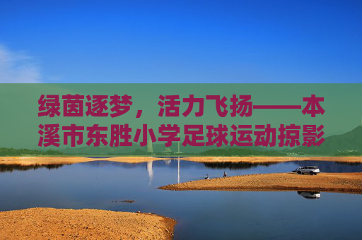 绿茵逐梦，活力飞扬——本溪市东胜小学足球运动掠影