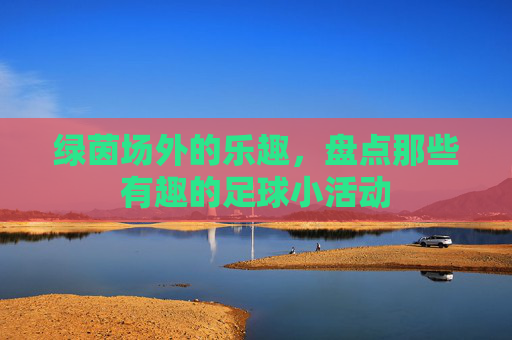 绿茵场外的乐趣，盘点那些有趣的足球小活动