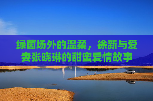绿茵场外的温柔，徐新与爱妻张晓琳的甜蜜爱情故事