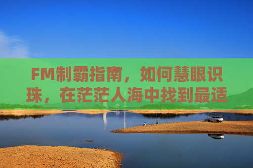 FM制霸指南，如何慧眼识珠，在茫茫人海中找到最适合你的救世主