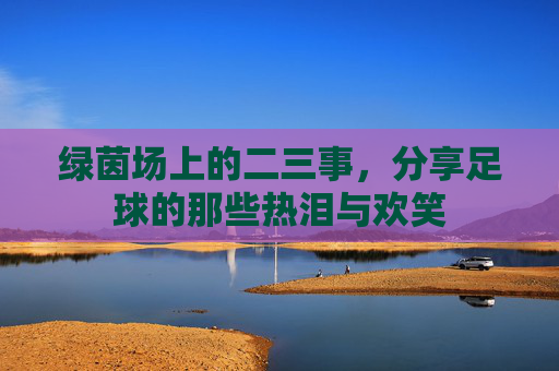 绿茵场上的二三事，分享足球的那些热泪与欢笑