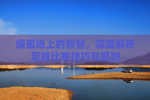 绿茵场上的智慧，深度解析足球比赛技巧与规则