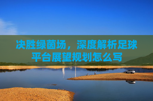 决胜绿茵场，深度解析足球平台展望规划怎么写