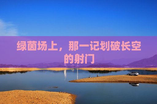 绿茵场上，那一记划破长空的射门