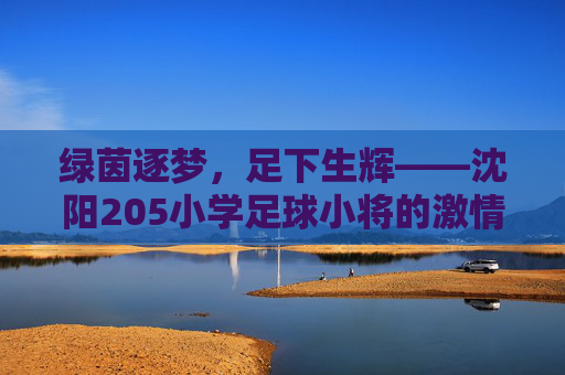 绿茵逐梦，足下生辉——沈阳205小学足球小将的激情与成长