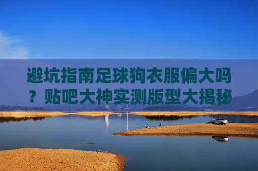 避坑指南足球狗衣服偏大吗？贴吧大神实测版型大揭秘