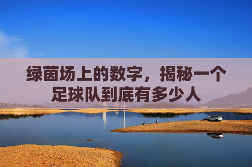 绿茵场上的数字，揭秘一个足球队到底有多少人