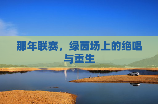 那年联赛，绿茵场上的绝唱与重生