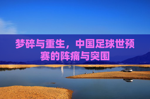 梦碎与重生，中国足球世预赛的阵痛与突围