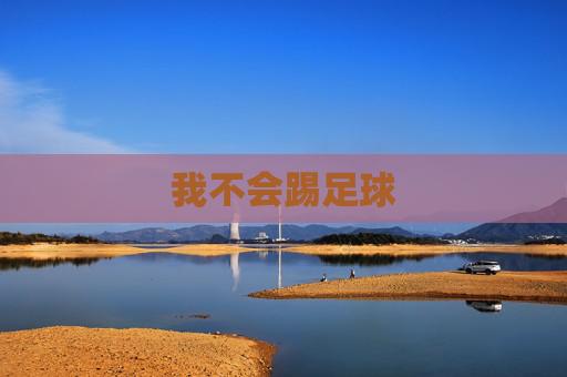 我不会踢足球