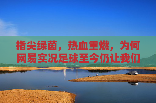 指尖绿茵,热血重燃,为何网易实况足球至今仍让我们狂热?