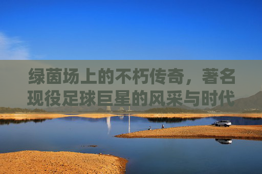 绿茵场上的不朽传奇，著名现役足球巨星的风采与时代