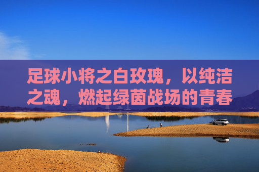 足球小将之白玫瑰，以纯洁之魂，燃起绿茵战场的青春绝唱