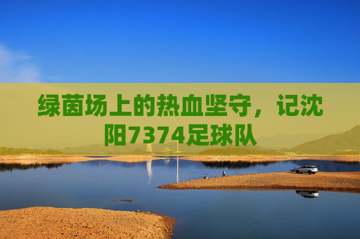 绿茵场上的热血坚守,记沈阳7374足球队