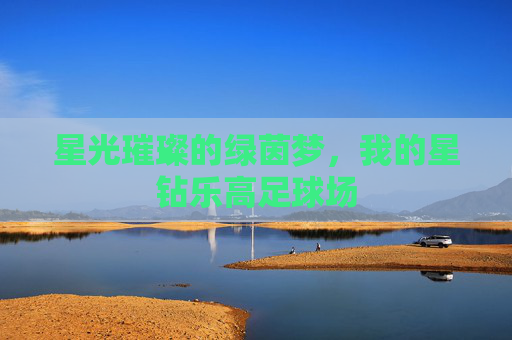 星光璀璨的绿茵梦，我的星钻乐高足球场