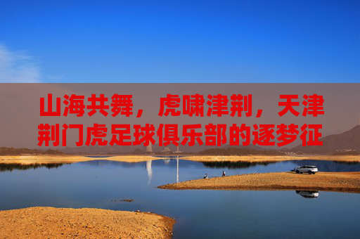山海共舞，虎啸津荆，天津荆门虎足球俱乐部的逐梦征程
