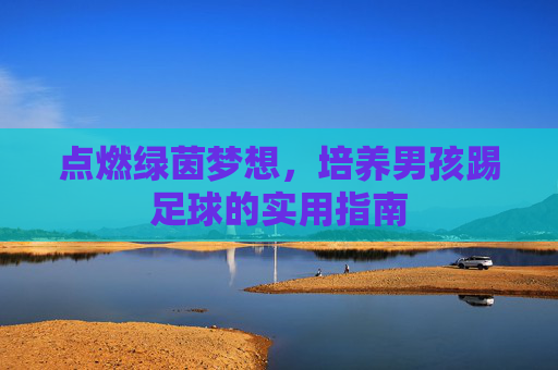 点燃绿茵梦想，培养男孩踢足球的实用指南