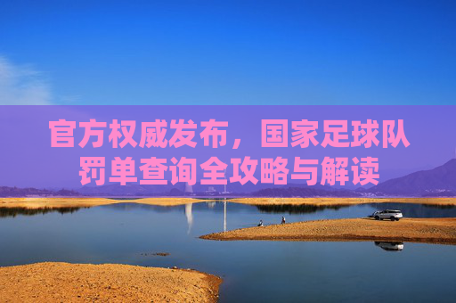 官方权威发布，国家足球队罚单查询全攻略与解读