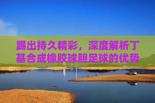 踢出持久精彩，深度解析丁基合成橡胶球胆足球的优势