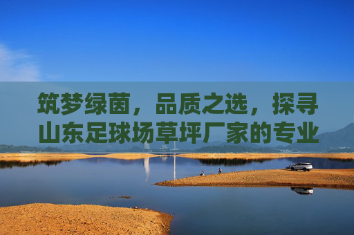 筑梦绿茵，品质之选，探寻山东足球场草坪厂家的专业之道