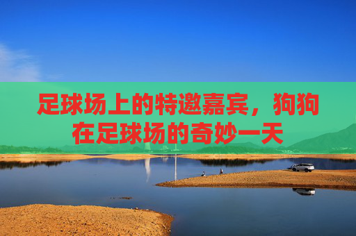 足球场上的特邀嘉宾,狗狗在足球场的奇妙一天