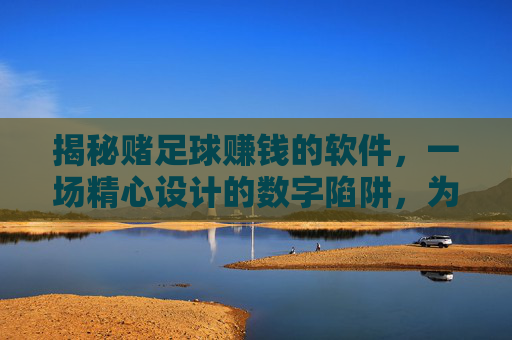 揭秘赌足球赚钱的软件，一场精心设计的数字陷阱，为何你总在输？