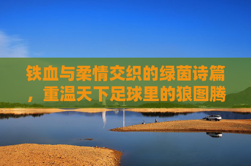 铁血与柔情交织的绿茵诗篇，重温天下足球里的狼图腾