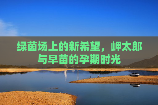 绿茵场上的新希望，岬太郎与早苗的孕期时光