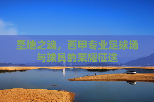 圣地之魂，西甲专业足球场与球员的荣耀征途