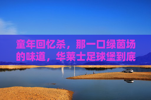 童年回忆杀，那一口绿茵场的味道，华莱士足球堡到底有多绝？