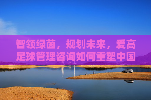 智领绿茵，规划未来，爱高足球管理咨询如何重塑中国足球竞争力