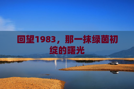 回望1983，那一抹绿茵初绽的曙光