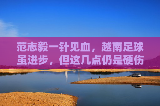 范志毅一针见血,越南足球虽进步,但这几点仍是硬伤